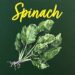 Spinach Pastas